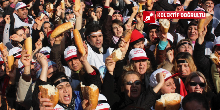 kolektif doğrultu 01