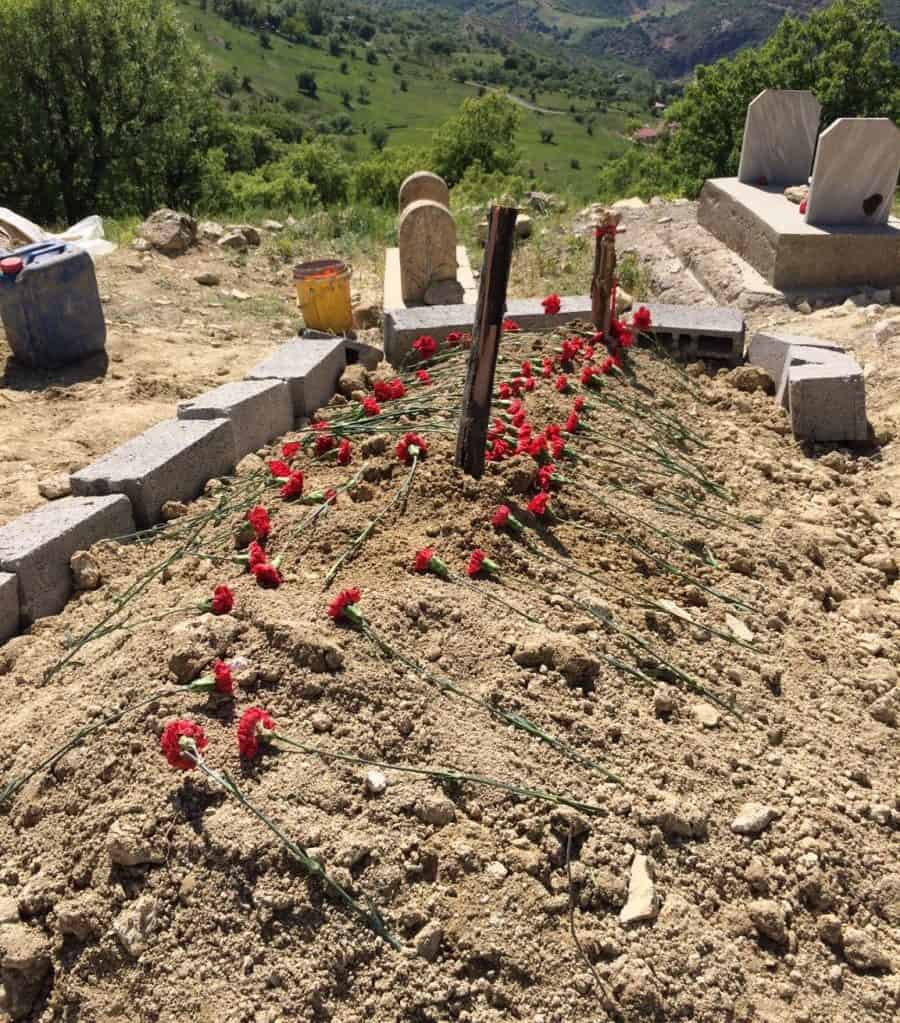 IMG 3669 e1591359193924