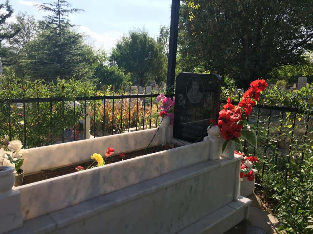 WhatsApp Image 2020 07 30 at 21.31.06 2