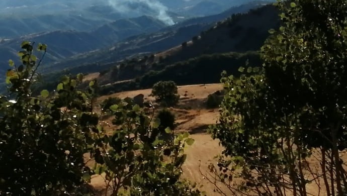 690x390cc mrk 15 08 2020 dersim orman yangini1 1