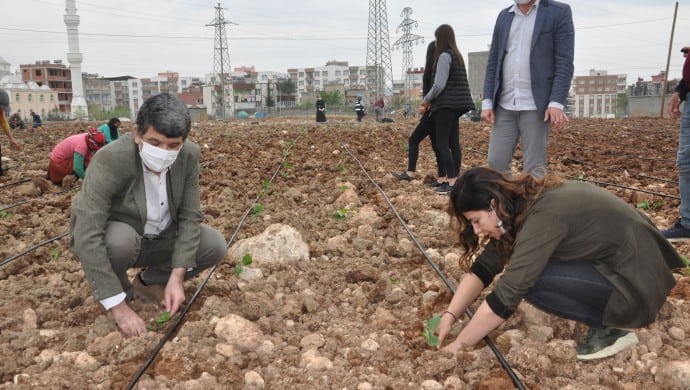 690x390cc srt 04 08 2020 siirt belediye trt haber1