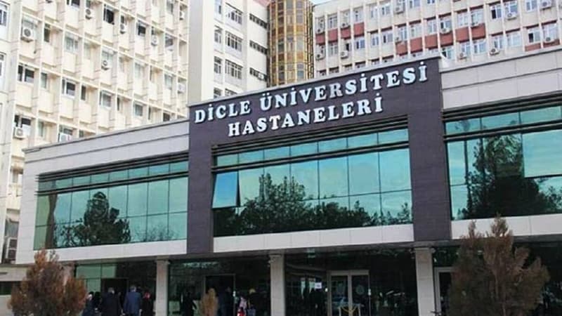 etha 09082020 diyarbakir kadinasiddet