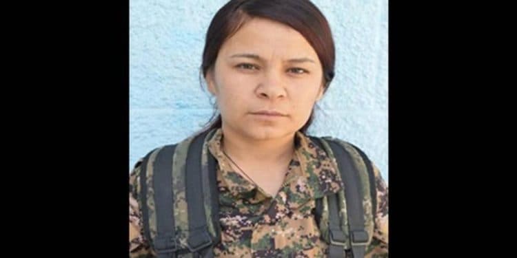 77aa3769fdde406a765ea8ca286e2939