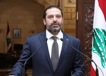 BwyReWpB3PT9xDw4KtNLkVPQoMpSZUnpo9hMfdrA