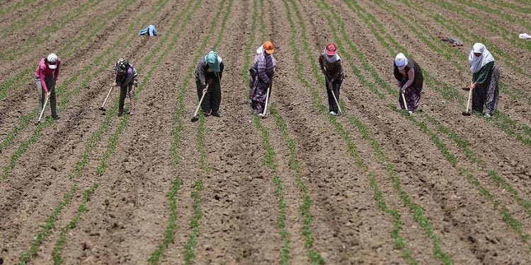 thumbs b c 1ba97d5d7cffcbc694c50bfaadb160dd