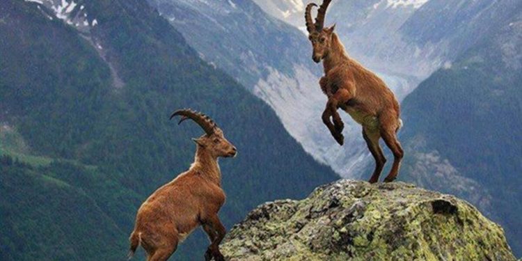 5a38215661361f0ccca99622 1