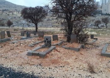 690x390cc mrd 11 11 2020 hpgli 2 cenaze teslim alindi