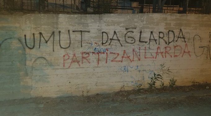 ElUjvZ8X0AAYT7e