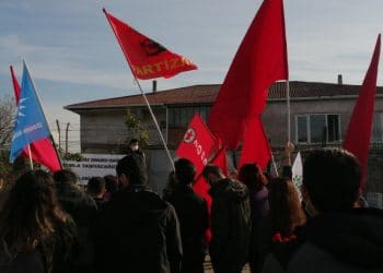 IMG 20201129 135454