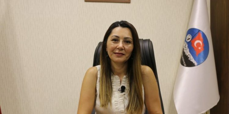 etha 20201111 sevin alaca