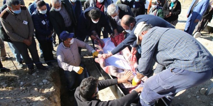 etha 20201112 hastatutsakcenaze