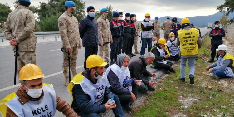 f93606af 35c8 4cec 82a6 64bfefddc9e9 1140x570 1