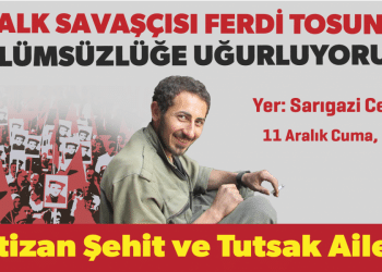 ferdi Calisma Yuzeyi 1