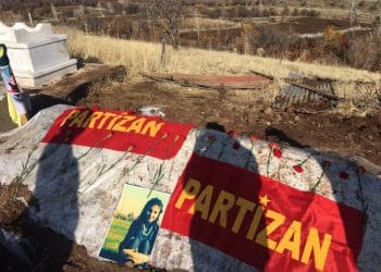 photo5929169212616586063