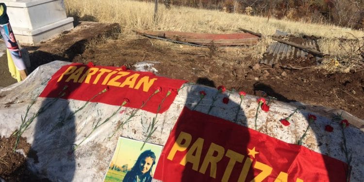 photo5929169212616586063