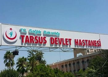 tarsus