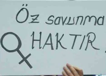 kendisine cinsel saldirida bulunan erkegi oldurdu 0bb8c e1606298556814