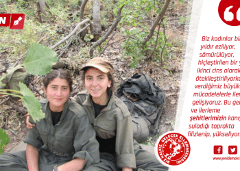 son ornek makale 01 1