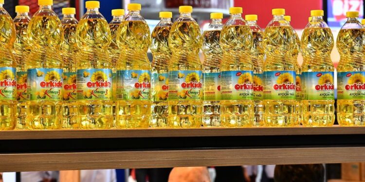 DepoPhotos 16668560 1024x683 1