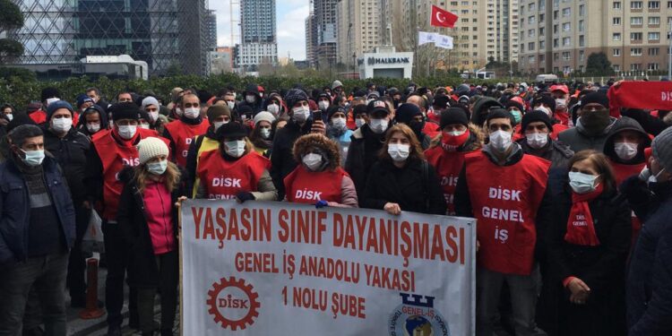 WhatsApp Image 2021 02 19 at 18.26.54