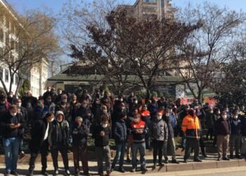 WhatsApp Image 2021 02 23 at 12.41.14 2