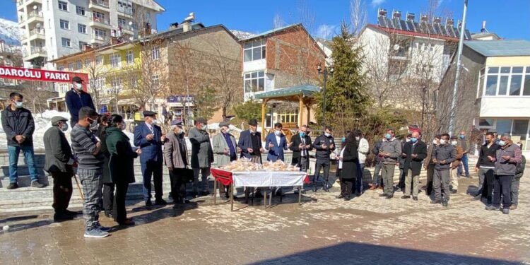 photo5859530814742705481