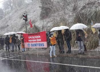 164876104 725812141428898 8667706291984316399 n