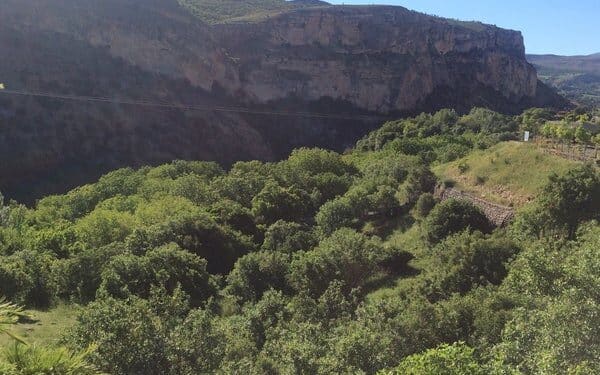 425279677 KqmuYlhVQ0JoMMQ5rZ1v9JPfBfGuK3FY3nL6CSLXtq0