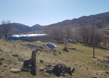 160718864 4061983873820281 748747706592969039 o