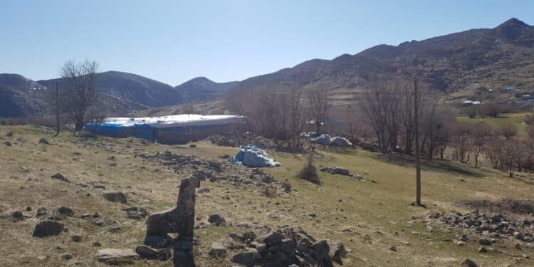 160718864 4061983873820281 748747706592969039 o