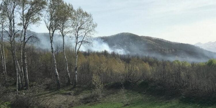 53fc39cc072a862aae6987ef8452126d