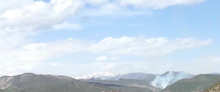 IMG E205BAB99A83 1 1