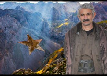 d2f1ed43251fda608f6e17a512fc5b0a