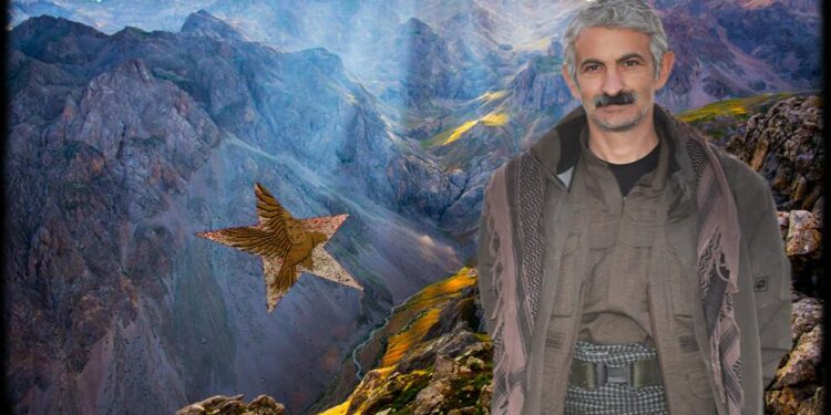 d2f1ed43251fda608f6e17a512fc5b0a