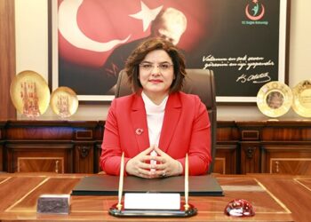 saglik bakan yardimcisi emine alp mese gorevden alindi 860169 5