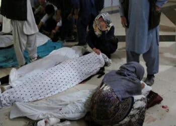 20210508 377fa24f993c59b5b24e254a585d6617 jpgc2855e image