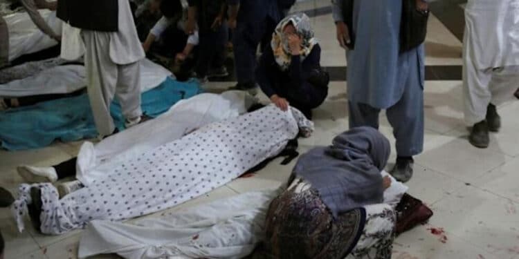 20210508 377fa24f993c59b5b24e254a585d6617 jpgc2855e image