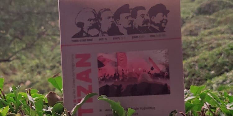 IMG 20210524 192631 scaled