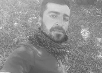IMG 8390C3695541 1