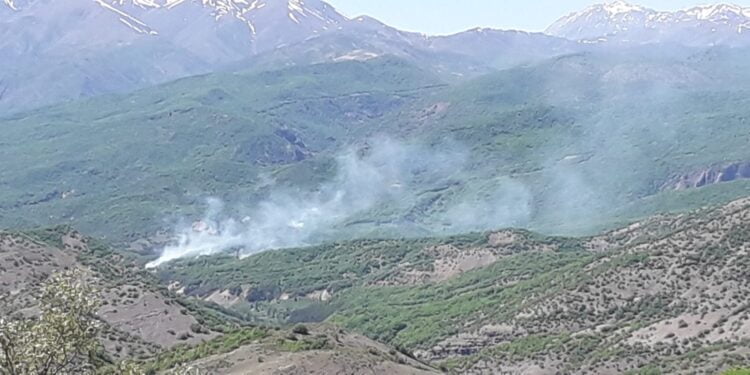 PHOTO 2021 05 10 19 07 05