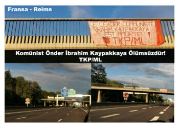 Reims Pankart scaled