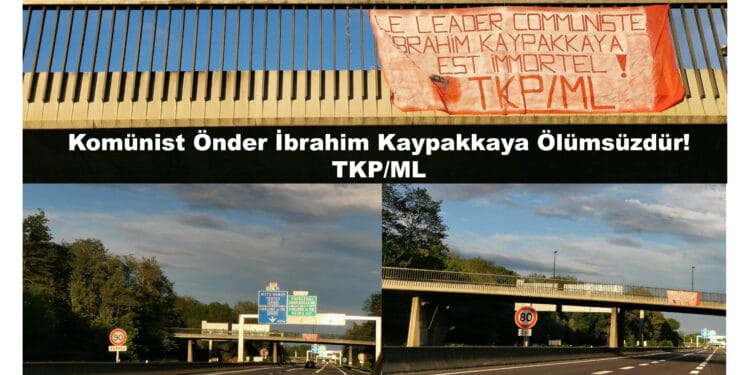 Reims Pankart scaled