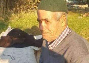 ahmet silik