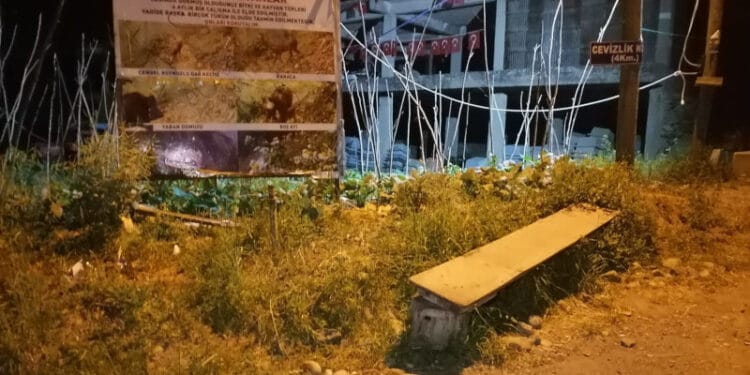 etha 20210516 cadirlarsokuldu