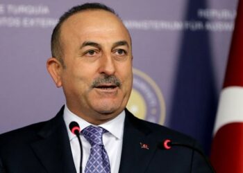 mevlut cavusoglu kimdir 3608258