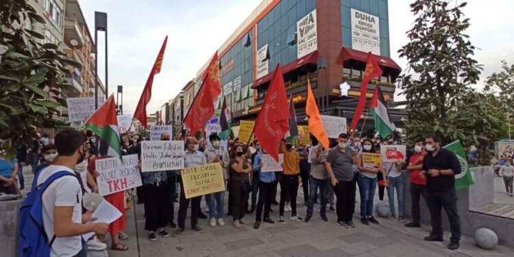 photo5852650869840000521