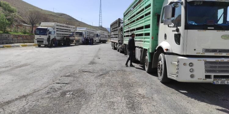 photo5852711695166846485