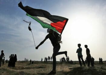 resized e6fe0 28967a72filistingosteri02