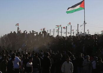 thumbs b c d535ff7f9e0997e038df3e016de7946f