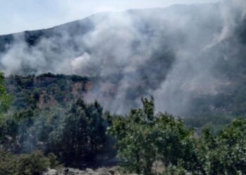 690x390cc dyb 13 06 2021 yangin dicle hendek1